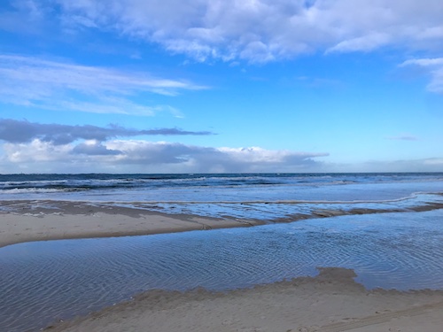 AMRUM2026